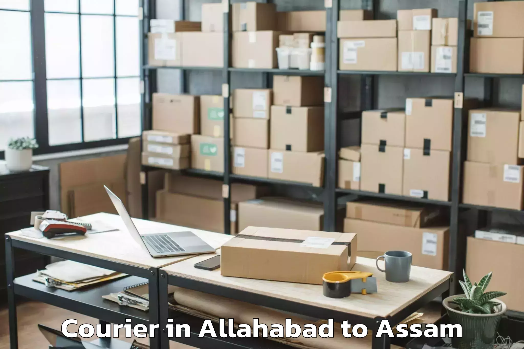 Reliable Allahabad to Dhakuakhana Courier